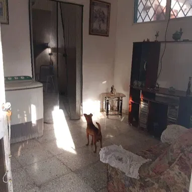 Venta de dos casas en una - Img 124172204