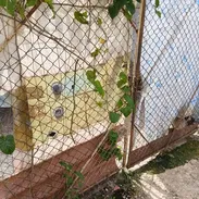 SE VENDE CASA CON NEGOCIO EN ZONA CENTRICA DE ALTAHABANA Y NO SE VA LA CORRIENTE - Img 57736557
