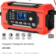Cargador de batería inteligente - Img 56984803