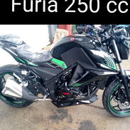Furia 250 cc - Img 56013296