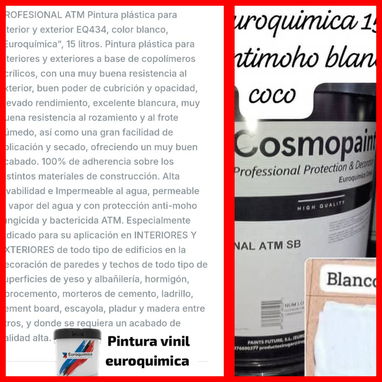 Pintura vinil euroquimica y isaval 15 litros antimoho ATM blanco coco importadas de España en nuestro almacén en playa - Img 119699325