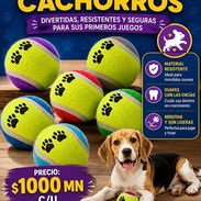 🐶 Pelota para perros 🐕🥎 - Img 55370481