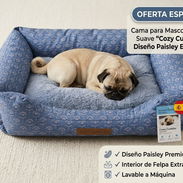 Camitas para mascotas - Img 58277781