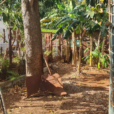 Casa grande en cojimar con apartamento de alquiler - Img 122574023