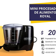 Procesador de alimentos ( moledor de especias) marca Royal - Img 51171552