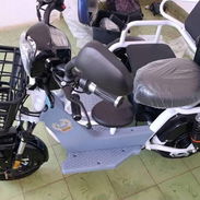 MOTICO MAF DE PASEO CON MINI-SIDECAR R - Img 58268936