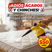 Limpiador al vapor - Img 58174221