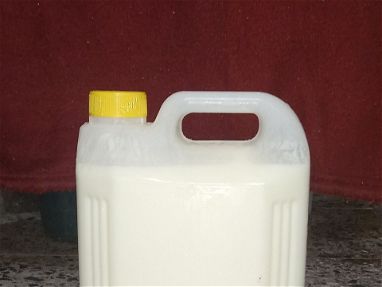 Yogurt probiótico natural artesanal - Img 67201458