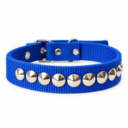 Collar Ajustable con Diseño de Tachuelas Planteadas - Img 57375838