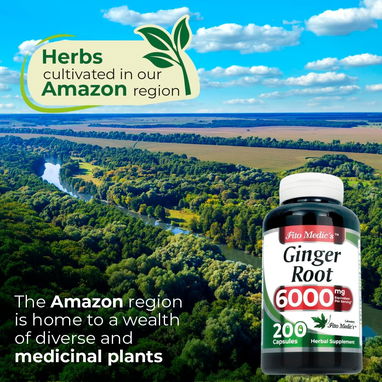 Raíz de Jengibre 6000mg (FITO MEDIC'S · 200 cápsulas) - 7/8