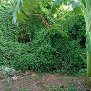 Venta de terreno en guanabo - Img 57436048