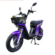 BICIPOWER EVOLUTION MORADA 48V45AH - Img 57782849