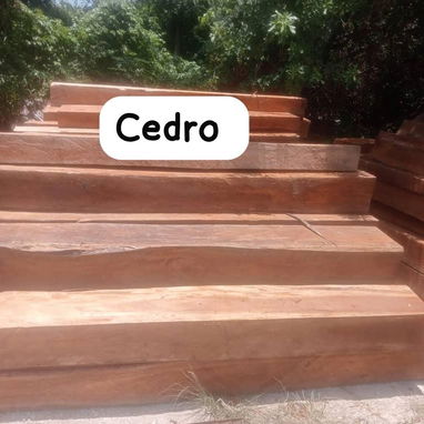 Madera para encofrar y la carpintería - Img 118522184