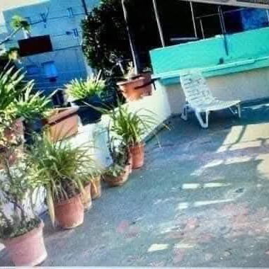 ●Rent PISO INDEP C GARAJ c Apto d 1/4 amplios pVIVIR oNEG,AMPLITUD, TERRAZAS , cerca del Mar 55511112 - Img 125568483