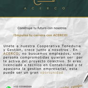 SE BUSCA CONTADORES Y TECNICOS - Img 55388314