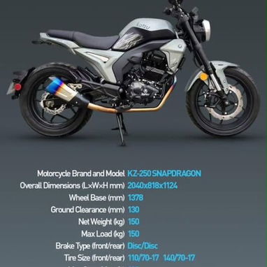 MOTO DE COMBUSTION MARCA KATZU SNAPDRAGON 250 - 4/4