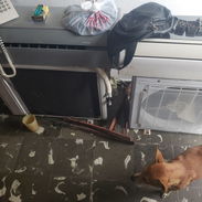Venta de split - Img 58189524