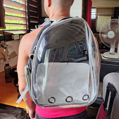 Mochila para mascotas - Img 123115664