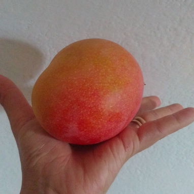 馃毃馃毃5 x $100 Deliciosos mangos 馃構 - Img 123227908