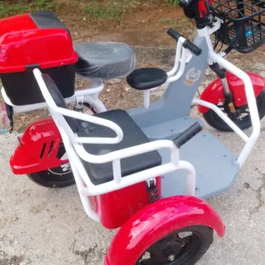 Moto eléctrica de 3 ruedas con sidecar - Img 121574584