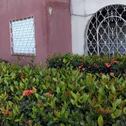 ¡Oferta! ¡Negociable! En venta apartamento con todo adentro (contacto por wp para detallarlo), listo para habitar. - Img 54735977