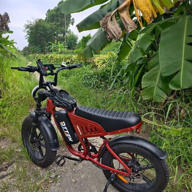 Bicicleta Electrica DTZH F6 - 6/10