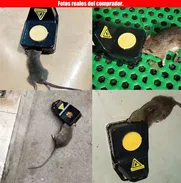TRAMPA PARA RATAS. RATONERAS. LAS MÁS EFECTIVAS!! - Img 50727863