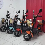 Moto - Img 55066679