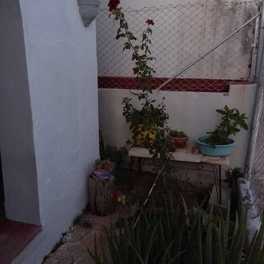 Casa en Miramar - Img 124482206