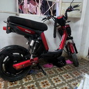 Vendo - Img 55331582