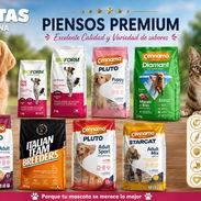 Pienso Comida Alimento para Perros y Gatos - Img 58260320