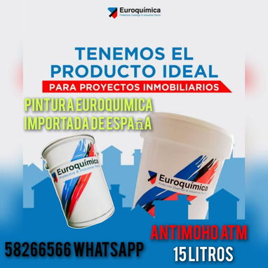 Pintura importada de España en nuestro almacén en playa - Img 118915942