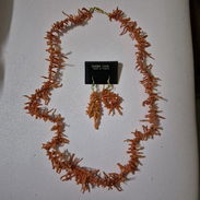 Coral Rosado - Img 56384472