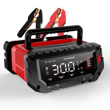Cargador de Batería Inteligente.  AC Input Voltage:100-240V~50/60Hz Input Power with Load:Max 420W Output Voltage:30A - 2/3