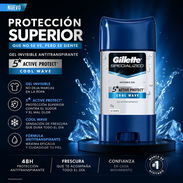 Desodorante Gillette 113g - Img 54349489