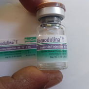 BIOMODULINAS T BULBO - Img 56697811