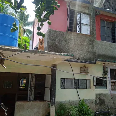 Se venden dos casas en una sola propiedad - Img 122225937
