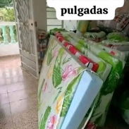 ✨✨✨Si desea un buen descanso🌜🥱🤗 después de un largo día le ofresco un buen confort 🥰calidad maxima 💯💥asegurada est - Img 56159618