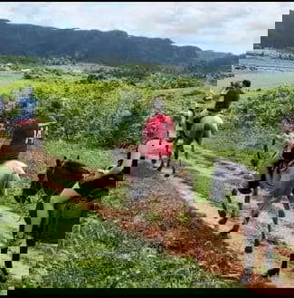 Hermosa experiencia para tus vacaciones en Viñales con AK - Img 61811876