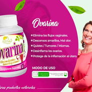 Ovarina - Img 56666612