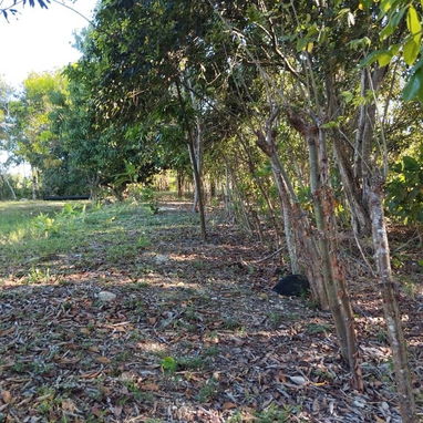 Finca en la zona de la UCI. - Img 125936941
