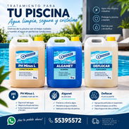 ‼️Alguicida, floculante, PH menos‼️ Todo para piscina - Img 51124461