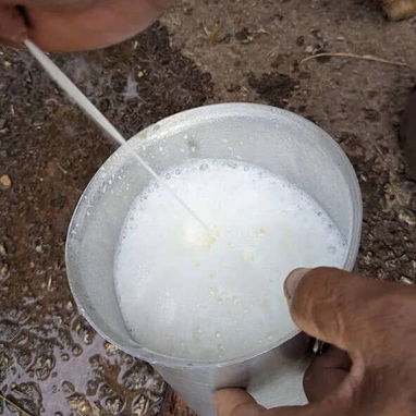 Se buscan trabajadores cualificados para varios puestos. Playa Bacuranao, Celimar - Img 126689263