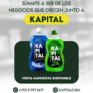 Venta Mayorista de Detergente Kapital - Mejor Precio - Img 54072664