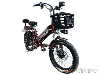 Vendo bicicleta electrica mishozuki - Img main-image