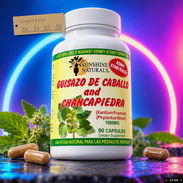 CHANCA PIEDRA - Img 58435460