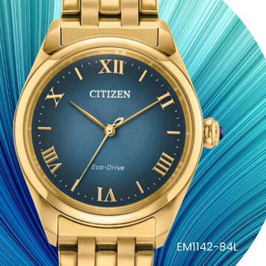Citizen zanja ! Historia y confianza # 1 - 3/6
