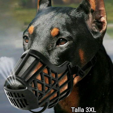 Artículos para mascotas - Img 122093748