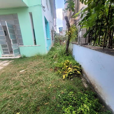 Servicio de jardinería 👩🏼🌾 - Img 127441449