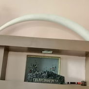 Vendo diente de elefante - Img 56169138